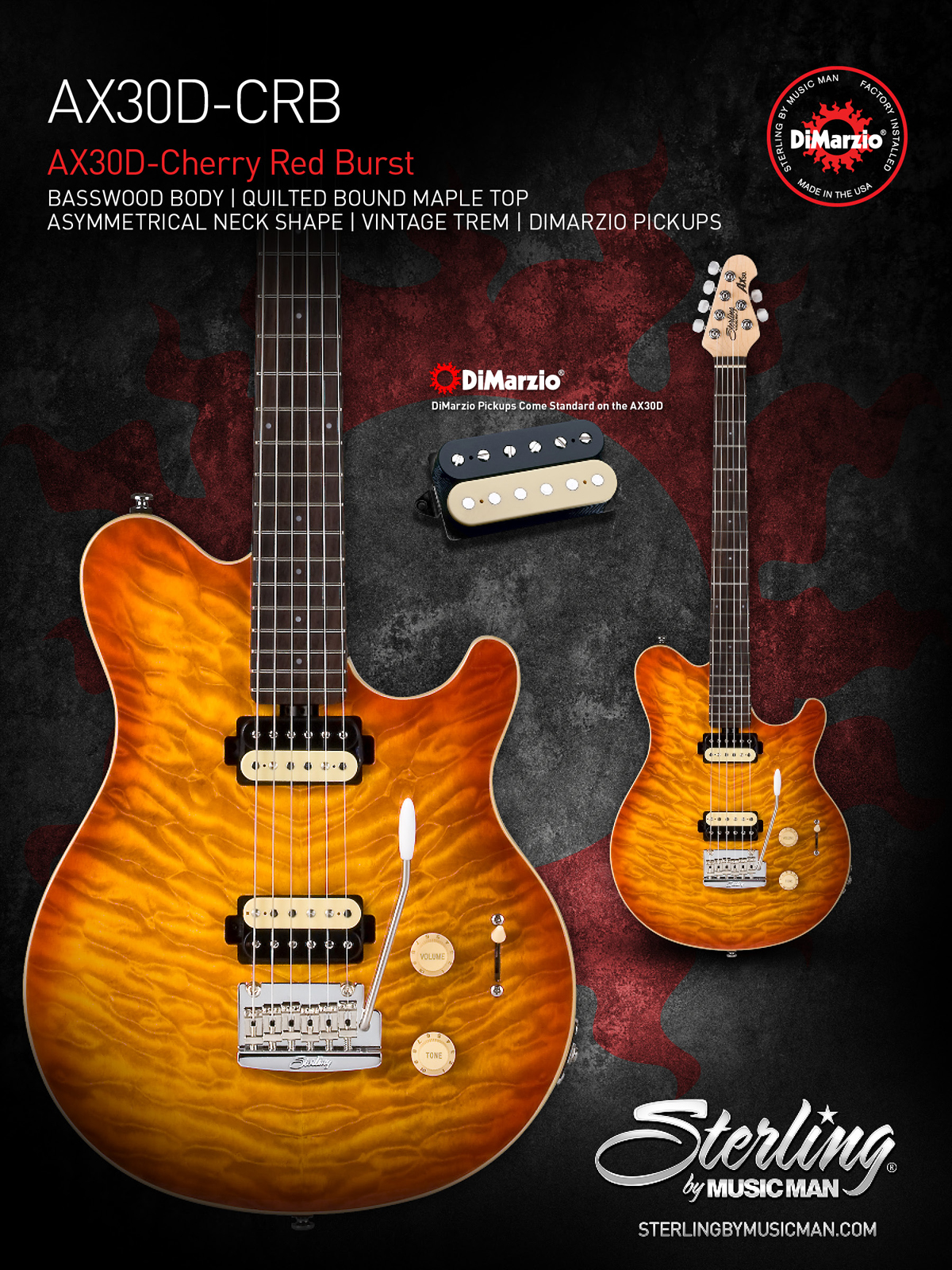 R&S Investments Ltd Music Store - Sterling AX30D Series